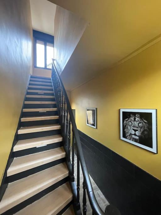 Le Cosy Dunkerquois Apartment Dunkirk Bagian luar foto